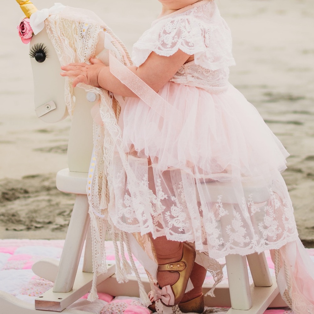 VGUC Baileys Blossom Lace FLOWER GIRL DRESS